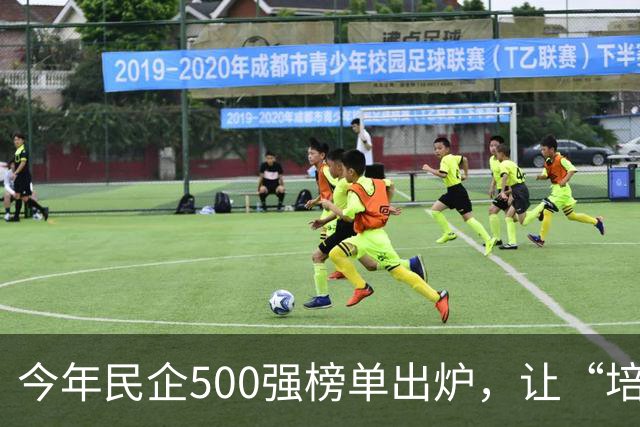 今年民企500强榜单出炉，让“培养更多的京东”豪言成为笑话！